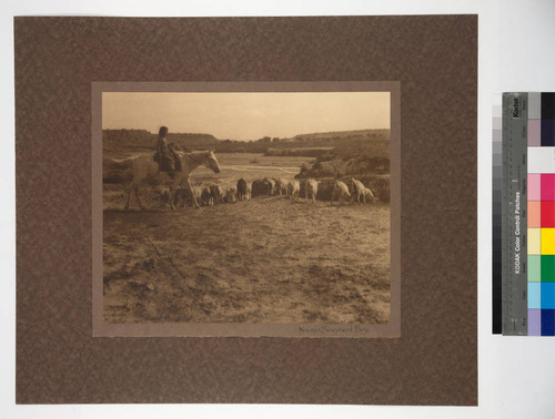 Navajo Shepherd Boy