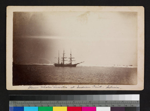 Steam whaler "Lucretia" at Indian Point--Siberia