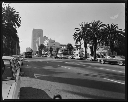 Ocean Avenue, Santa Monica