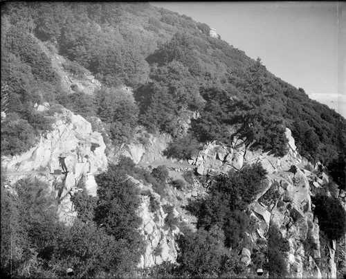 Rocks along a Mount Wilson trail