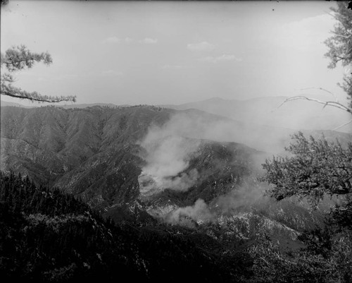 Forest fire, west fork towards Barley Flats, San Gabriel Mountains