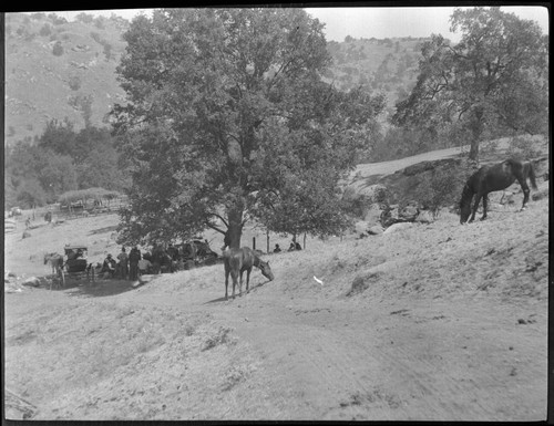 Gambling after the shearing. Yokuts - Tule River Reservation