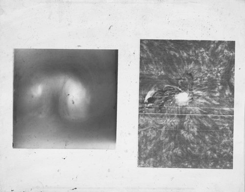 Comparison of smoke vortex and sunspots