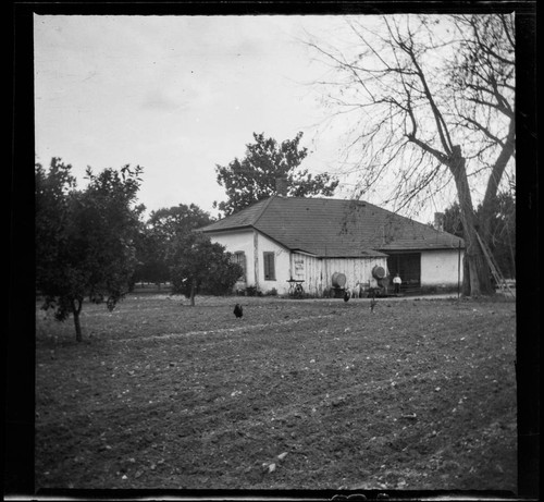 Unidentified house with a dog and child in the yard