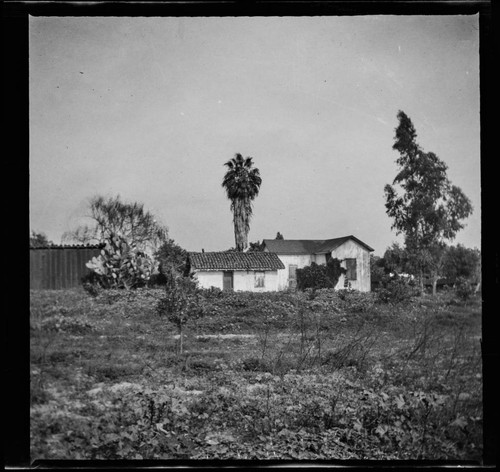 Unidentified house with cactus and palm tree