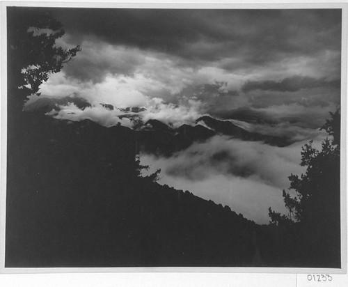 Low clouds in the valleys as seen from Mount Wilson