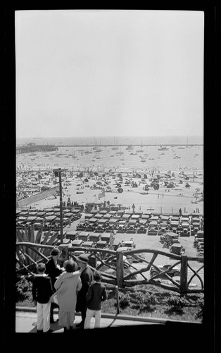 Santa Monica Yacht Harbor from Palisades Park