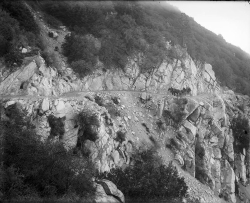 Distance view of horse-drawn vehicle, with passengers, on Mount Wilson toll road