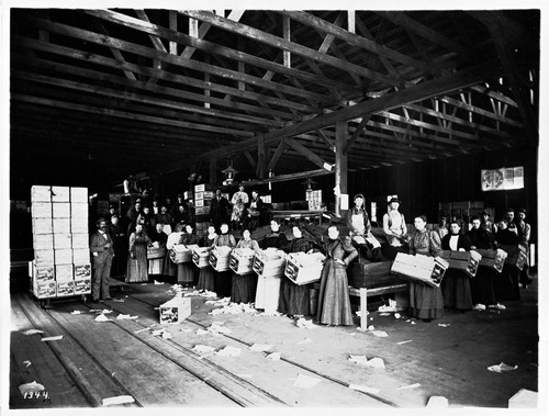 Orange industry packing house, Covina Citrus Association