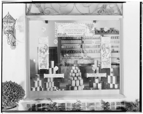 Edward H. Rust Nurseries window display, 352 East Glenarm, Pasadena. 1929