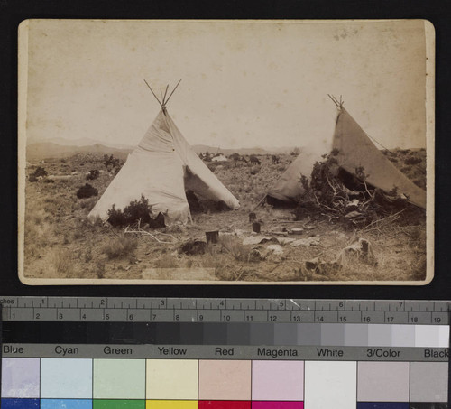 Two tepees, with mules in the background