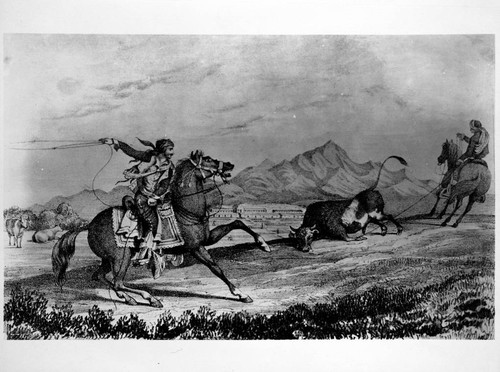 California method of roping cattle, 1839