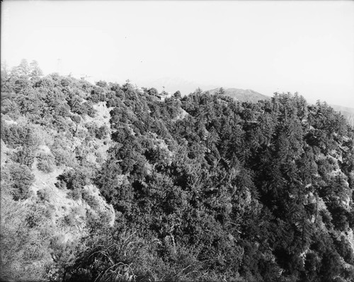 Monastery ridge on Mount Wilson, from the Snow telescope building to the monastery