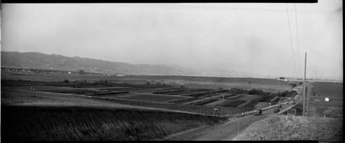 Beverly Hills Heights development. 1925