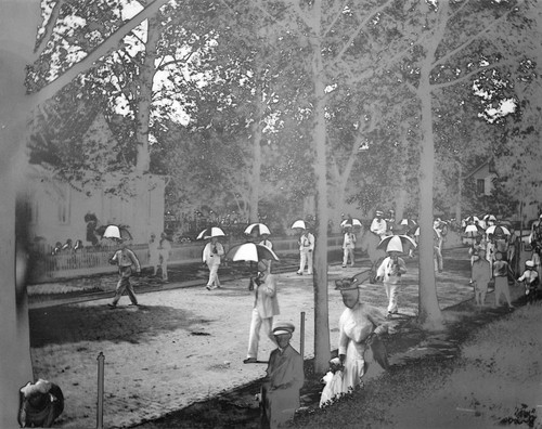 Parade of men carrying umbreallas, Pasadena