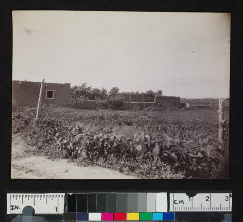 Houses in a pueblo or settlement