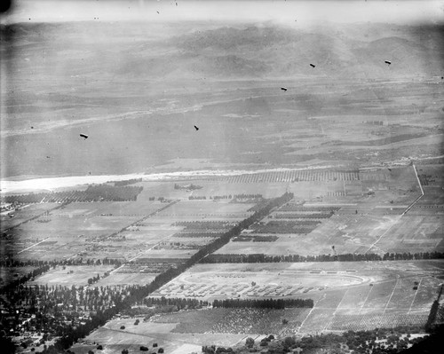 Aerial view from Mount Wilson of parachuters over Santa Anita Park, Arcadia