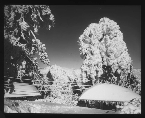 Mount Wilson Hotel cottages in the snow