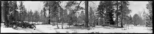 Pinewoods by Holden Mill, Big Bear Lake. 1922