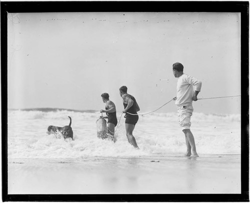 Jack Donovan, lifeguards, and dog training on beach, Santa Monica, California