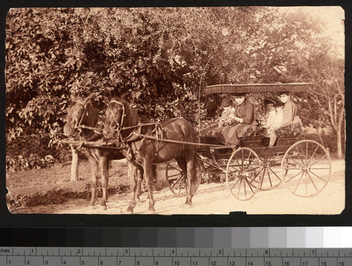 Shorb children in a buggy