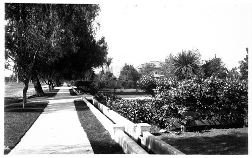 Figueroa Street zanja, 1890