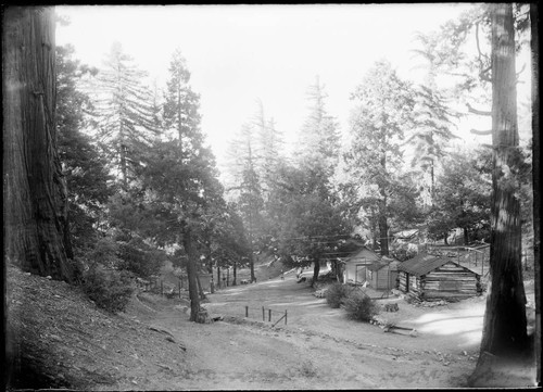 A.G. Strain's camp. Mount Wilson