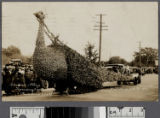 Glendale first prize, Tournament of Roses, Pasadena, 1923