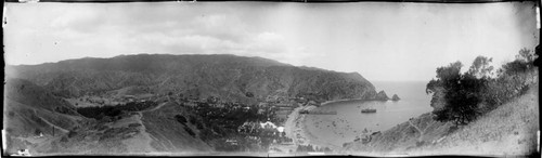 Avalon harbor, Santa Catalina Island. 1904