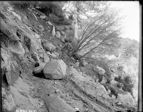 Rocks on a Mount Wilson toll road