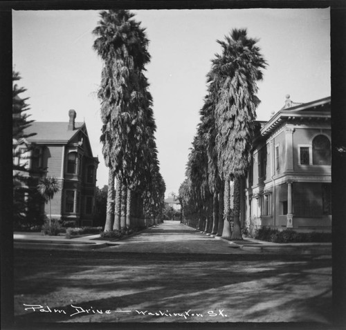 Palm Drive, Washington St