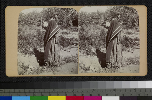 Hualapai Indian woman carrying a pottery jar