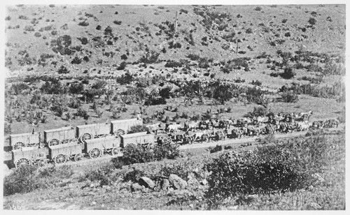 Ore teams, Pinal County, Arizona