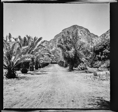 Entrance to Piru Mansion, Piru, California