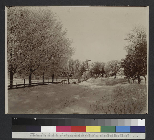 Winter scene of a snow-covered road bordered by a wooden fence and trees. Windmill in background