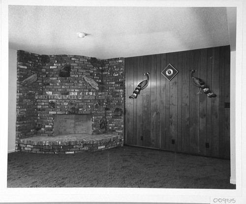 Fireplace and paneled wall in the living room of a new house on Mount Wilson