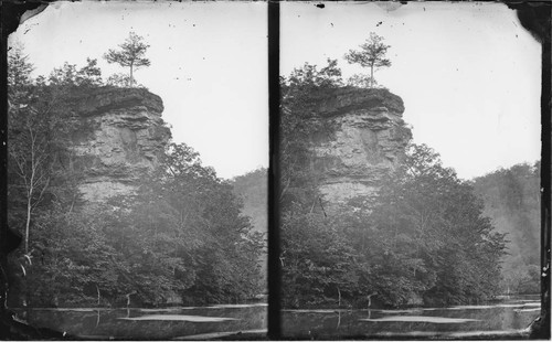 Rock and trees above river, Seminole Nation, Indian Territory