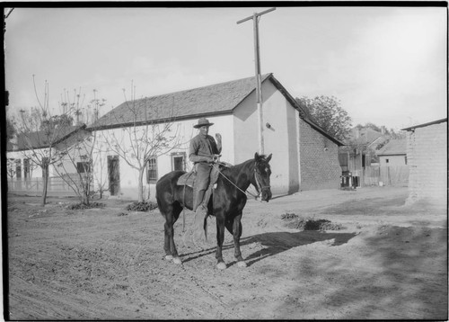 Horse and rider