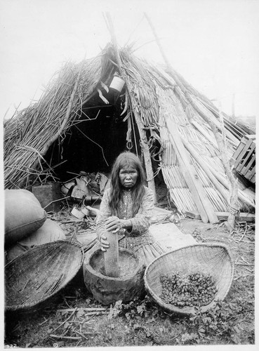 Paiute woman grinding acorns in wooden mortar, Yosemite Valley