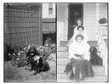 Dog with ribbon ; three women on porch steps with a dog