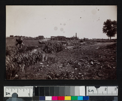 Unidentified scene in a pueblo or settlement