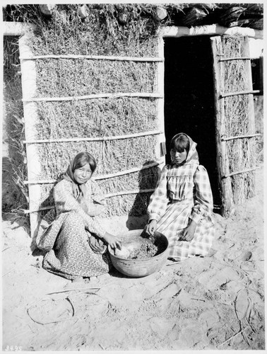 Chemehuevi girls grinding mesquite beans