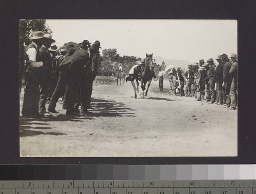 Ma on horseback participating in rooster pull