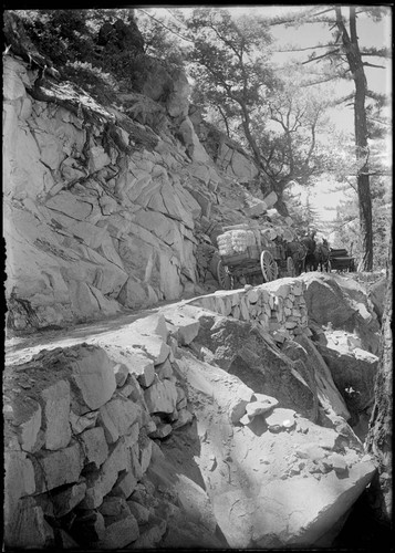 Horse=drawn wagons on a Mount Wilson toll road, near the summit