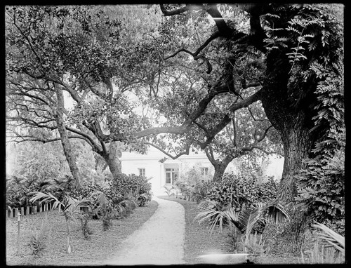 Path to an office building