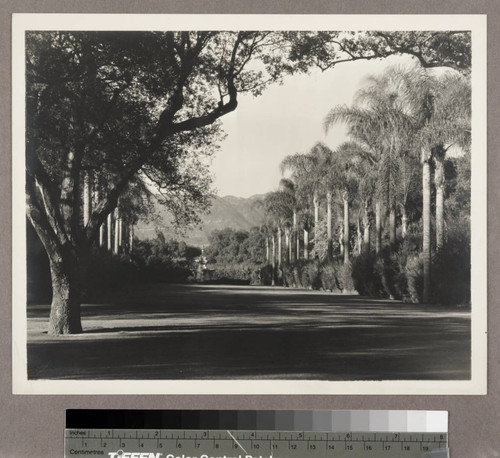 North vista of the San Marino ranch