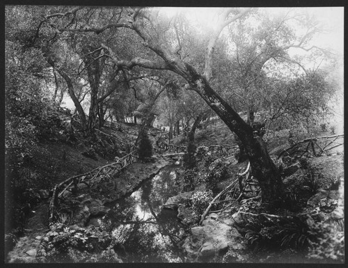 Japanese garden, circa 1913