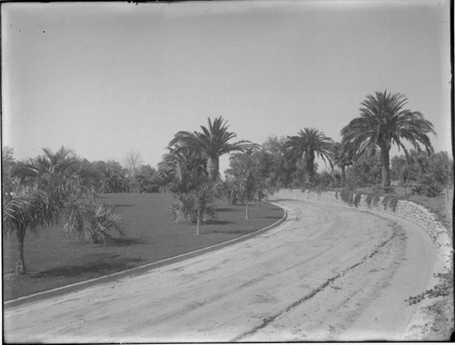 Road to the Huntington residence, circa 1911