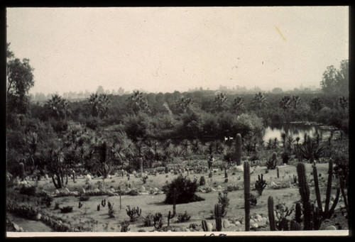Desert garden, general view, circa 1910