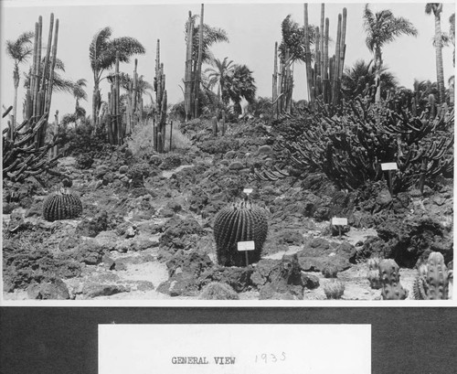 Desert garden, general view, 1935